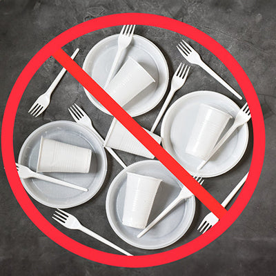 Government Regulations on Single-Use Plastics: Why Compostable Plates are the Future?