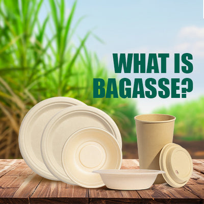 What Is Bagasse?: Upcycling Plant Waste Into Everyday Essentials