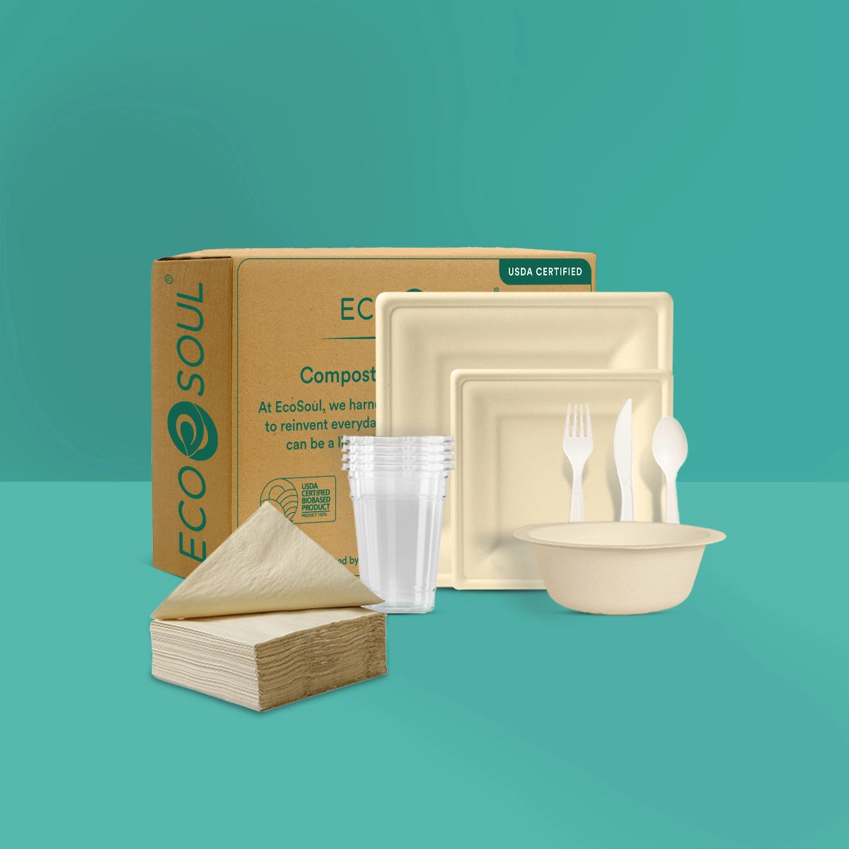 Disposable Square Plate and Bowls with Napkins for Party Packs.