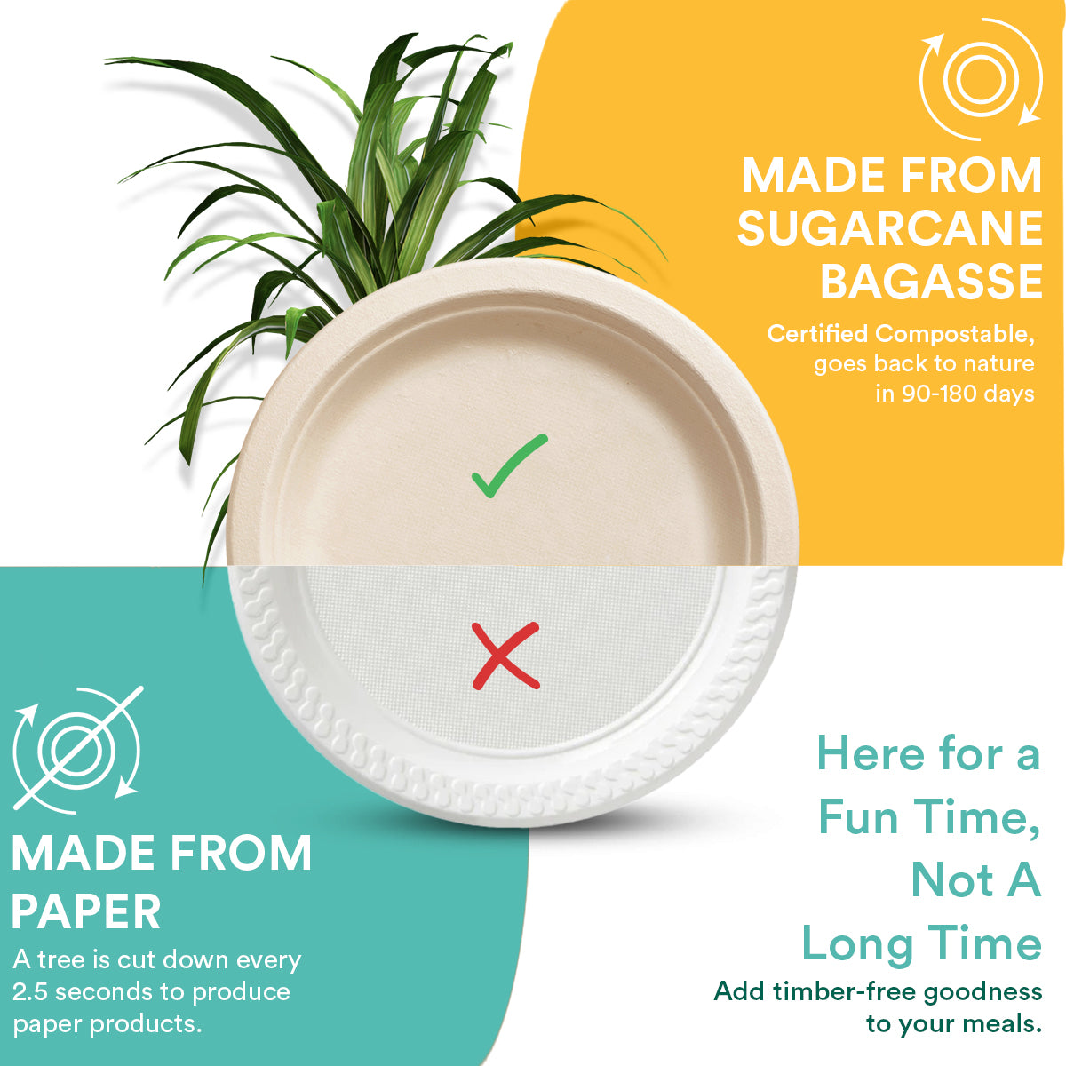 6 Inch Round Compostable Plates