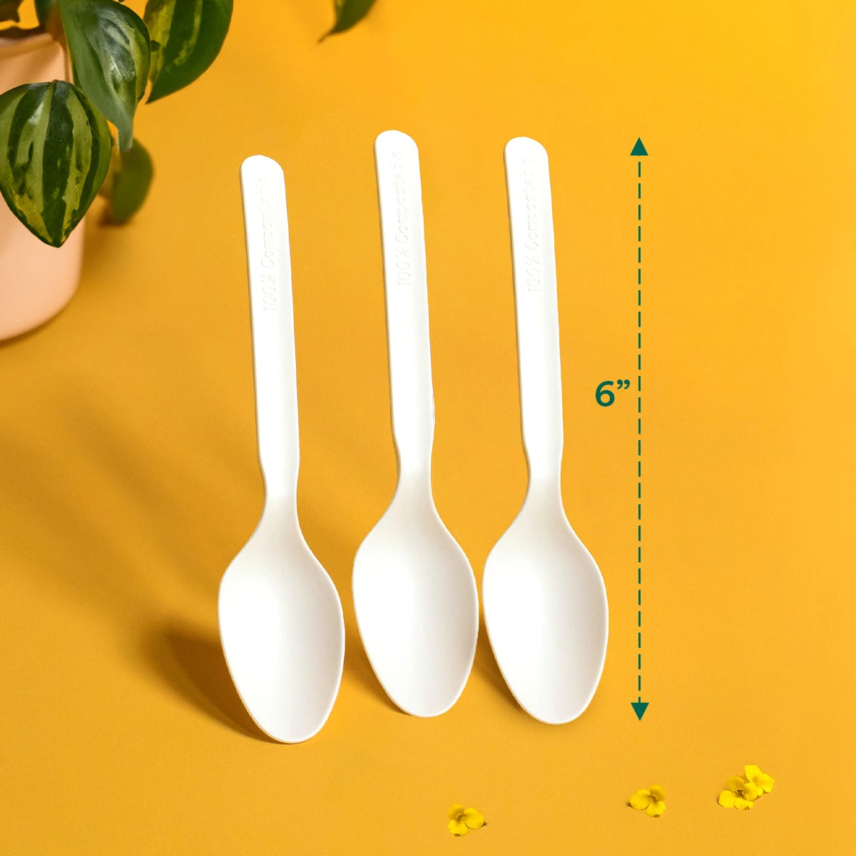 Compostable Spoons Set