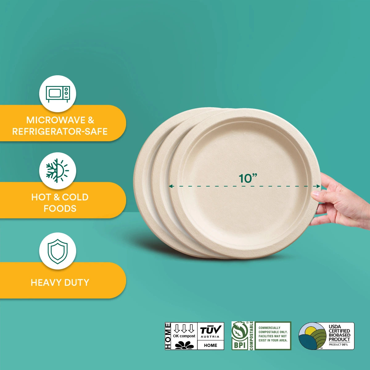 10 inch Compostable Plate for hot and cold foods