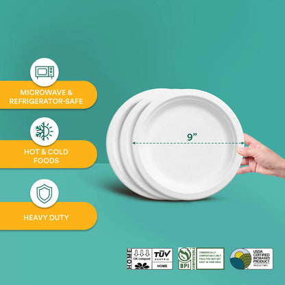 9 inch compostable plates for hot and cold foods