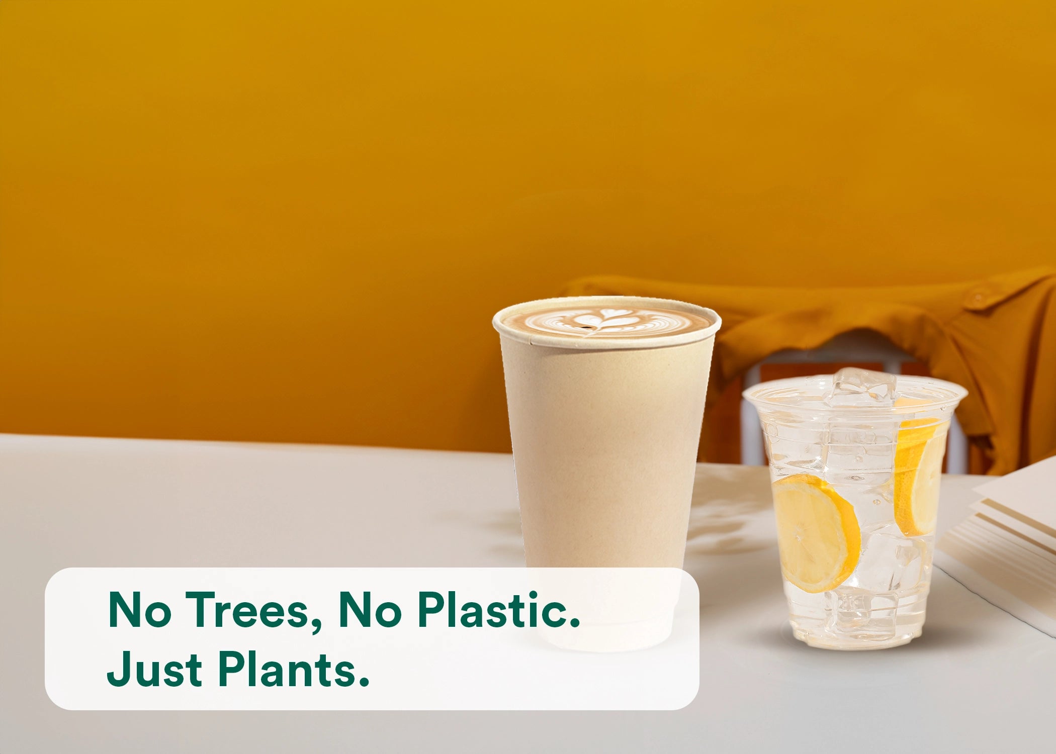 Ecofriendly Compostable Drinkware