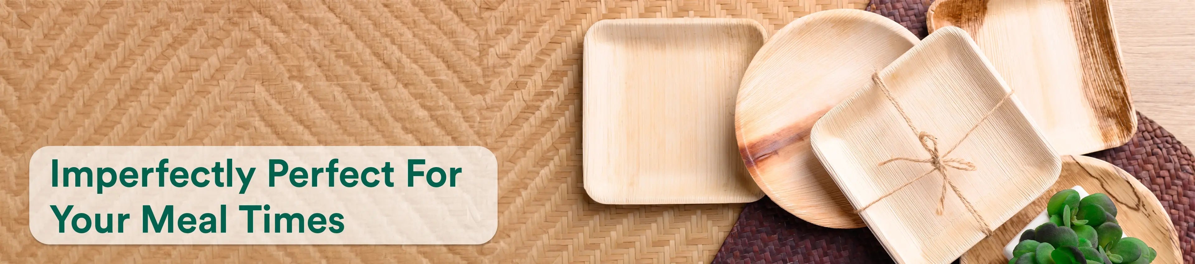 100% Natural Compostable Palm Leaf Plates