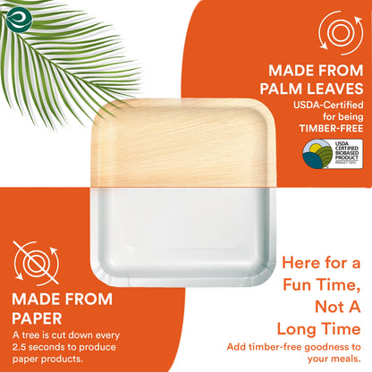 10 Inch & 7 Inch Square Compostable Palm Leaf Plates