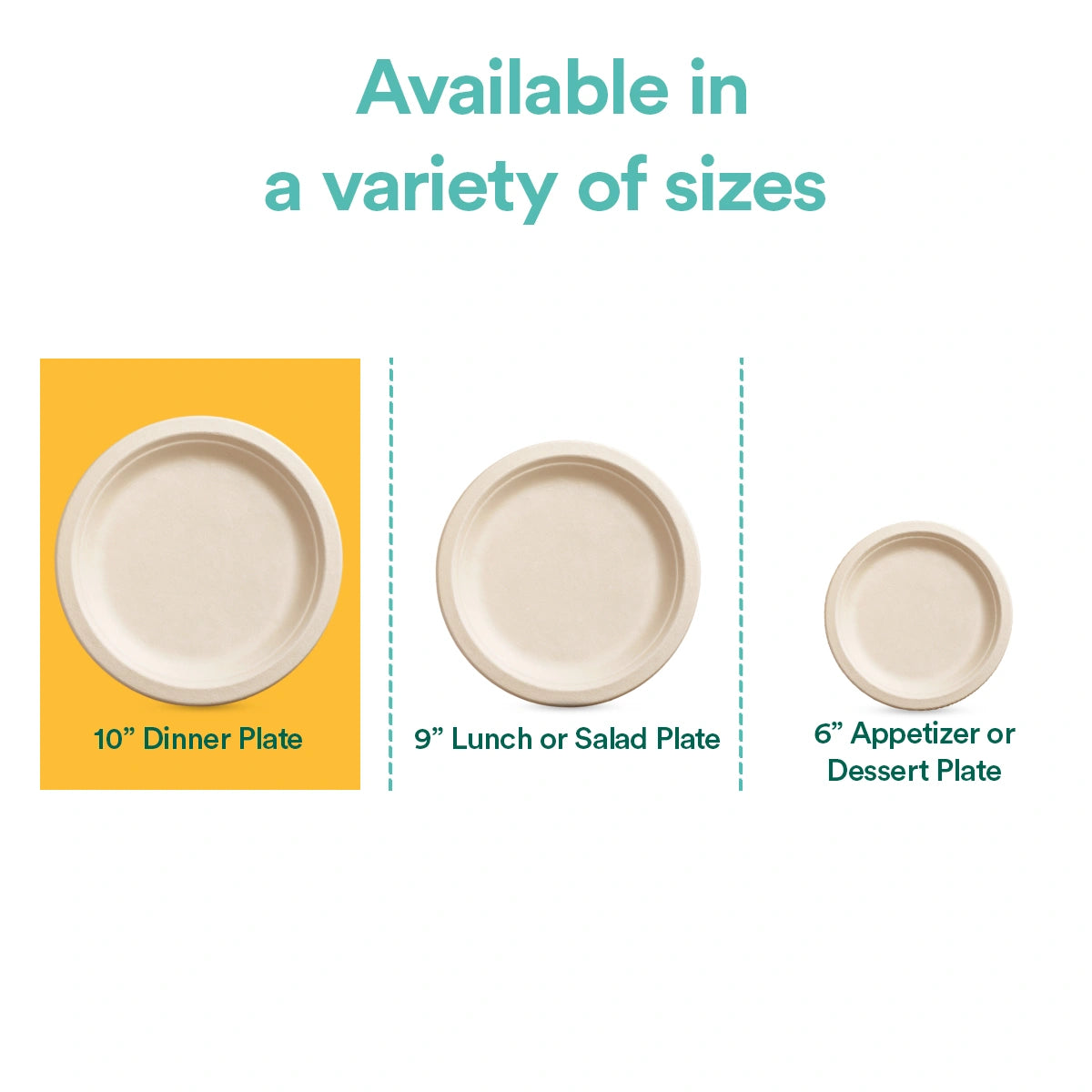 10 inch disposable dinner plates with multiple sizes