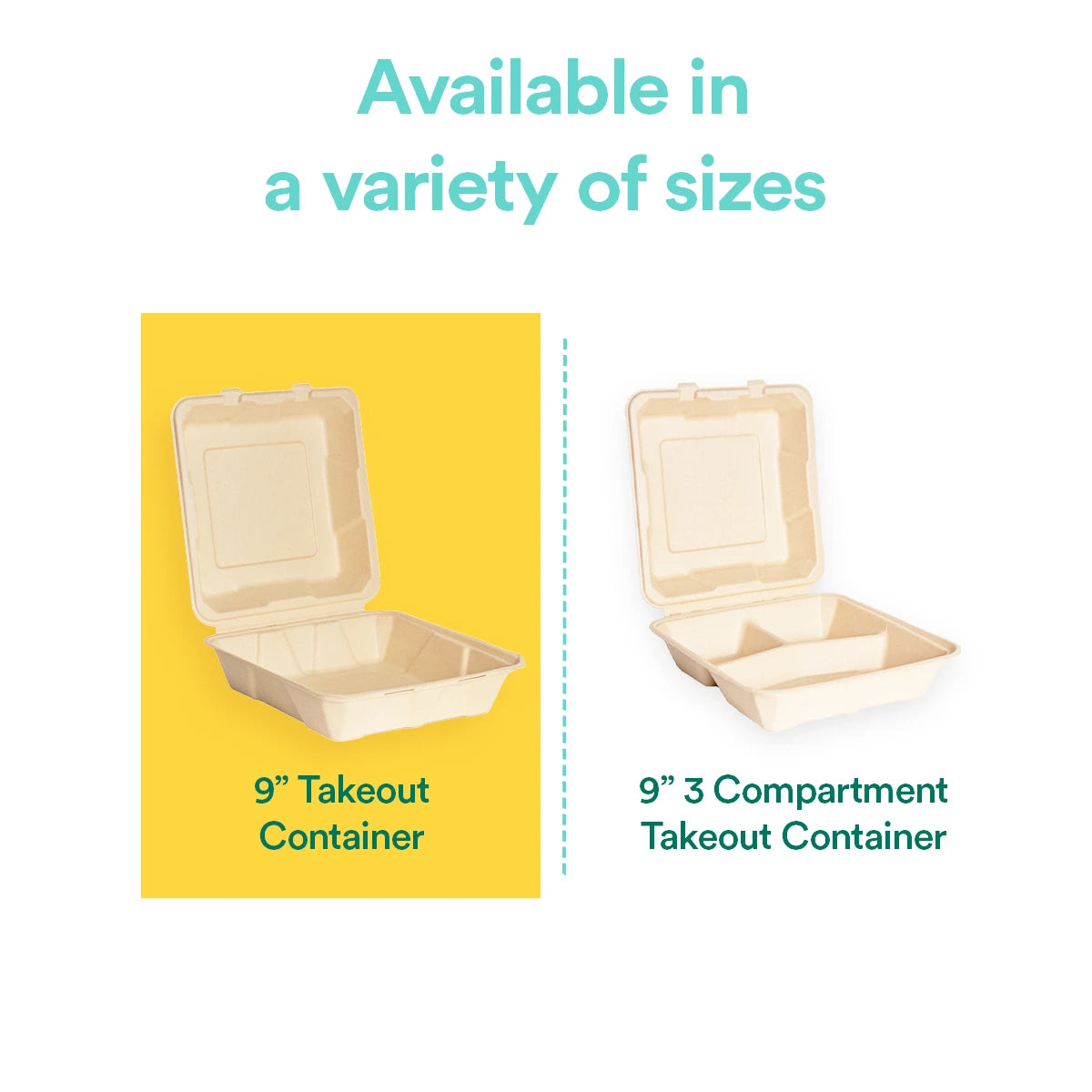 Take out container in different sizes and variety 