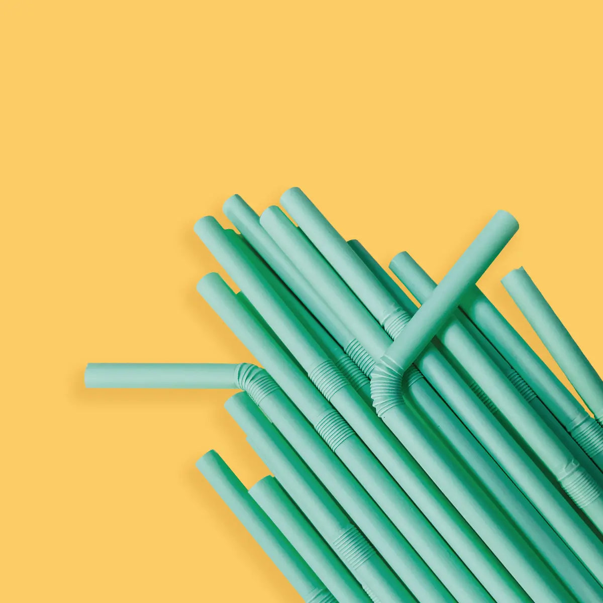 Buy compostable straws made from corn starch