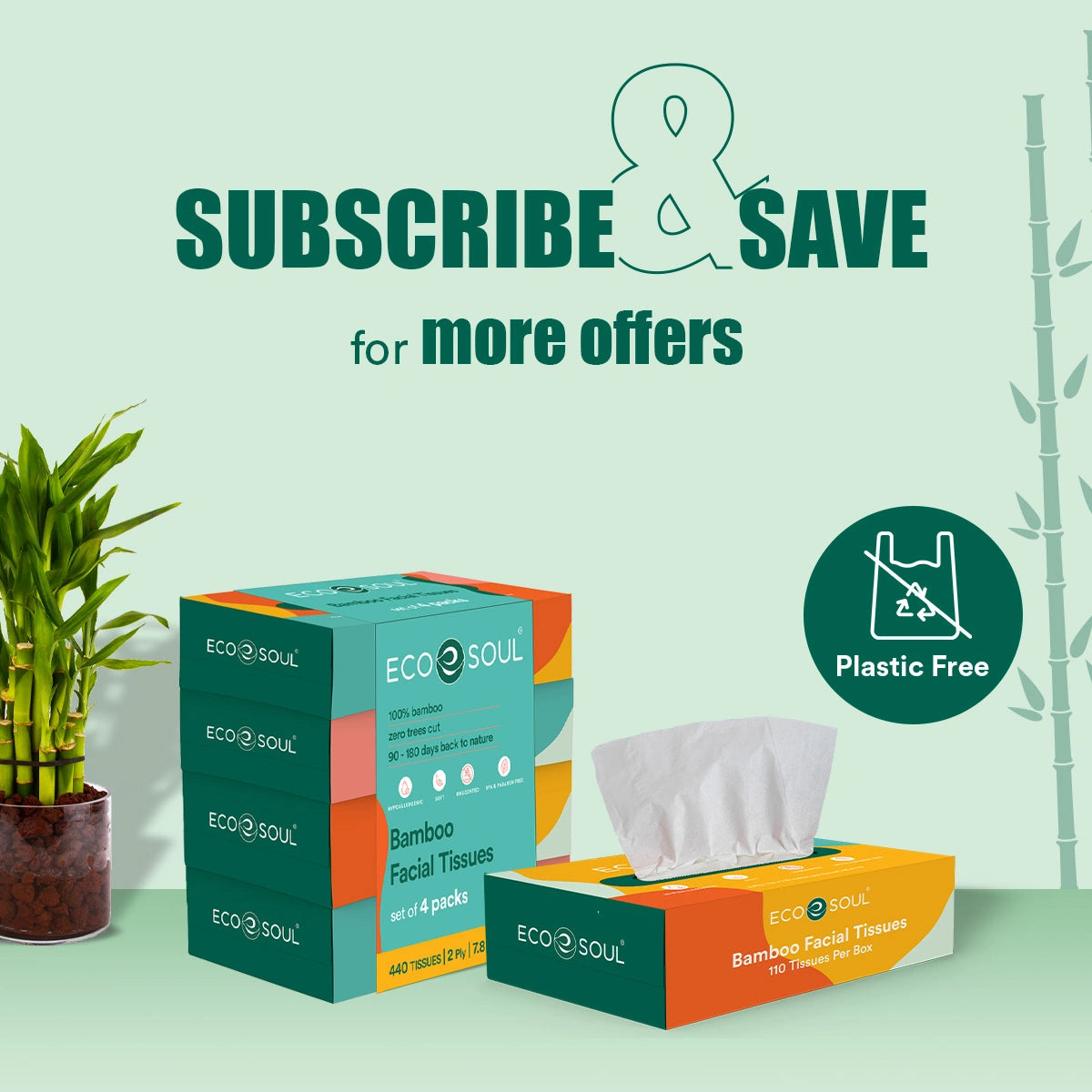 Bamboo 2 Ply Facial Tissues - 100 Tissues Per Box