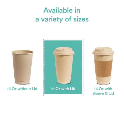 Ecofriendly compostable hot cups with lid in multiple sizes