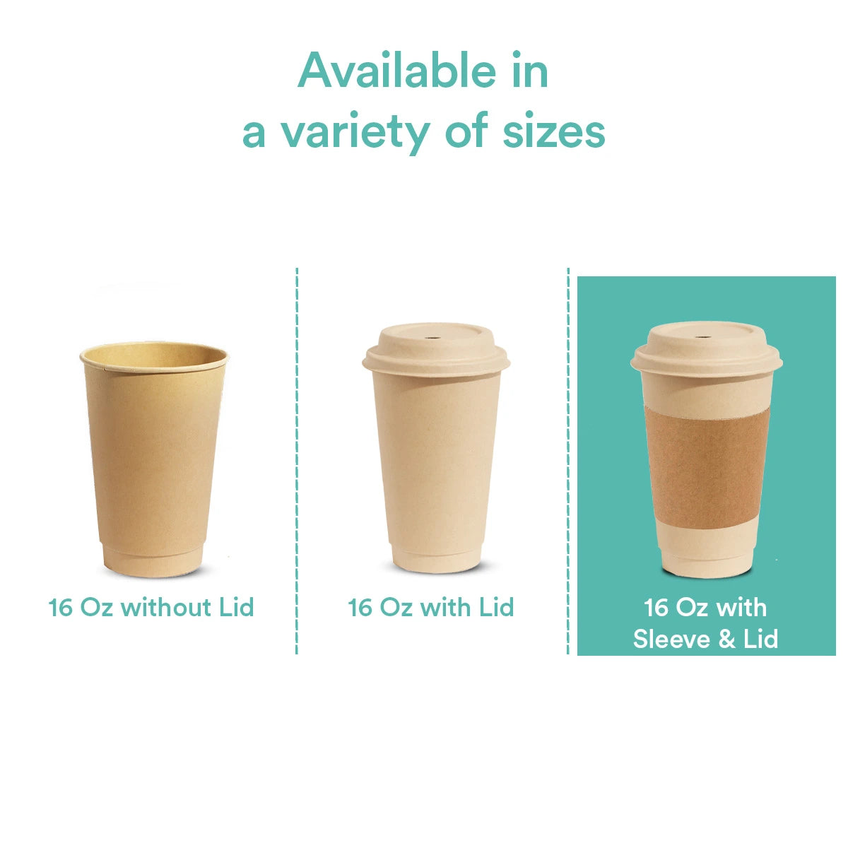 Compostable eco-friendly coffee cups in variety of sizes